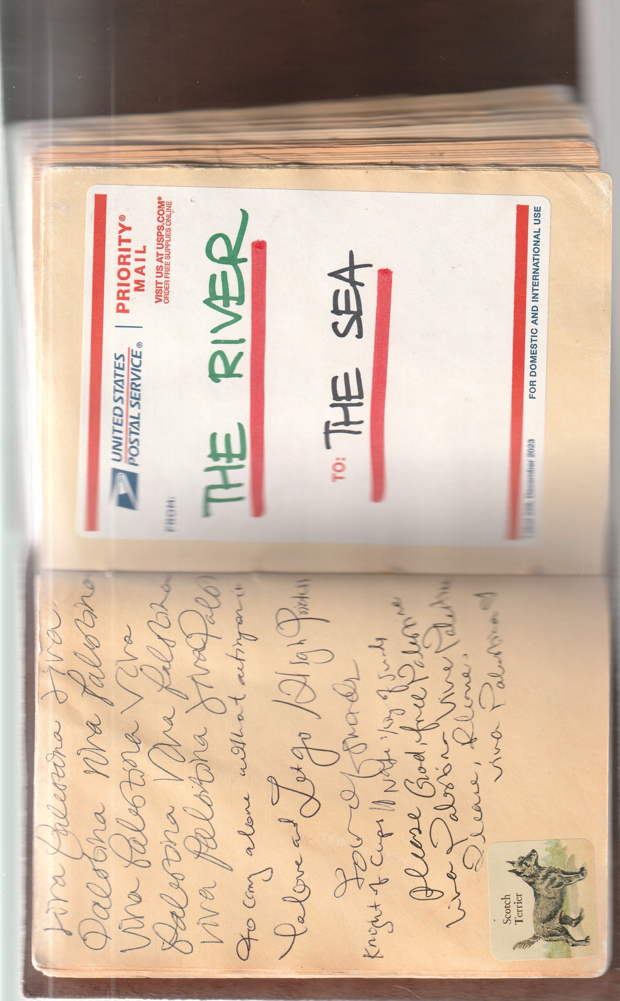 Ephemera 6
