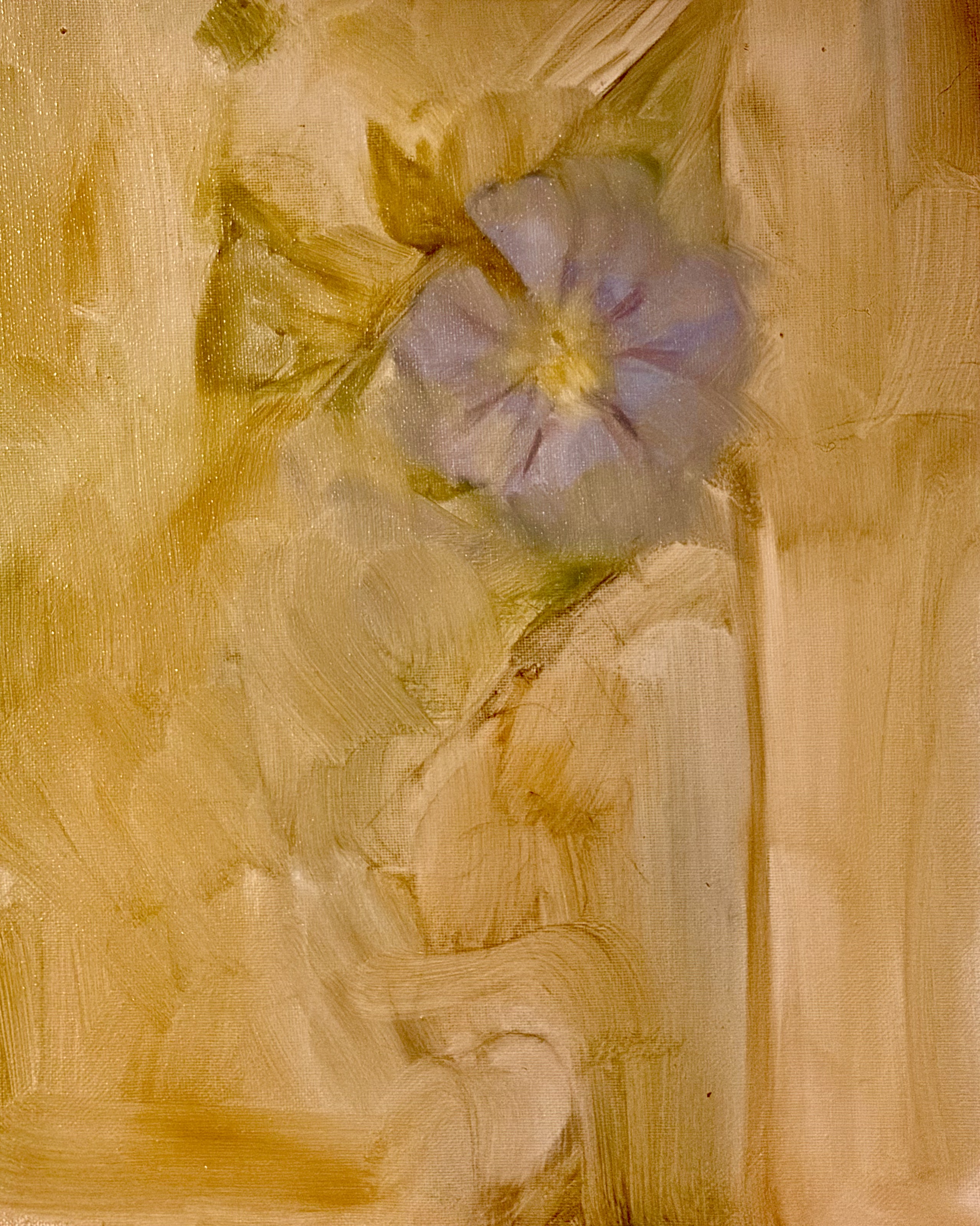 Morning Glory, 2026, Oil
    on Canvas